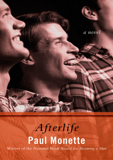 Cover image for book Afterlife