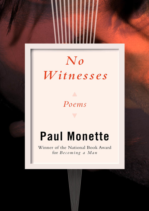 Cover image for book No Witnesses