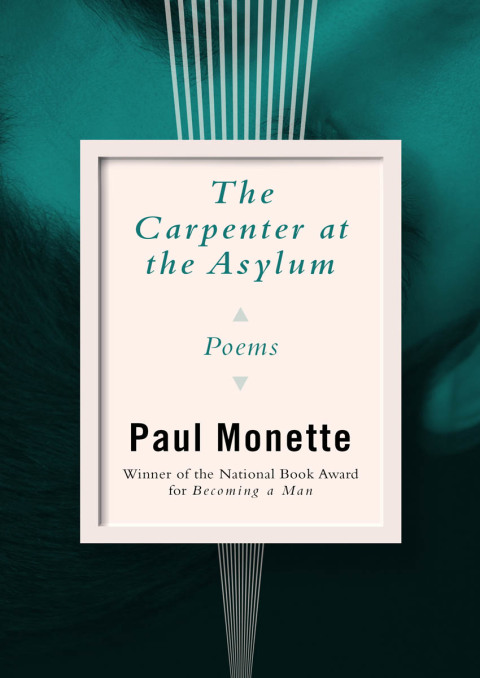 Cover image for book The Carpenter at the Asylum
