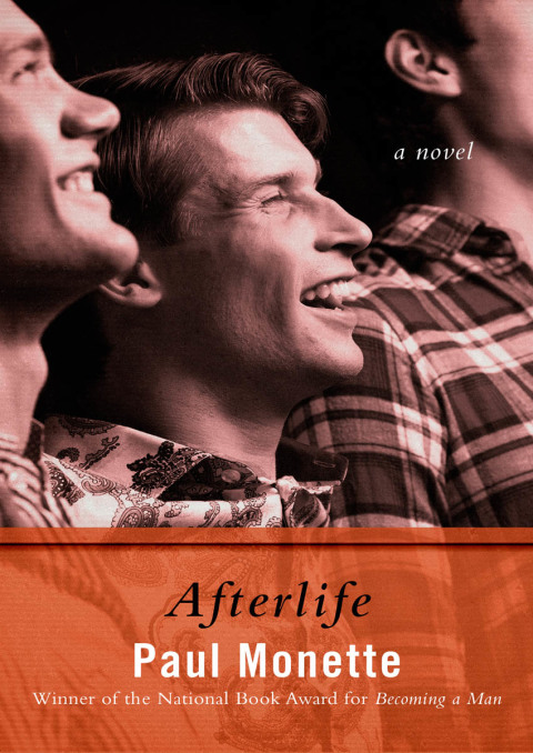 Cover image for book Afterlife