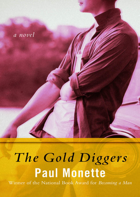 Cover image for book The Gold Diggers