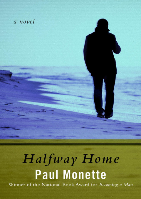 Cover image for book Halfway Home
