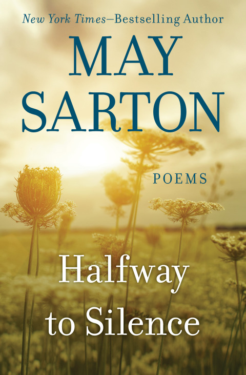 Cover image for book Halfway to Silence
