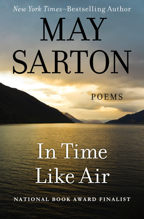 Cover image for book In Time Like Air