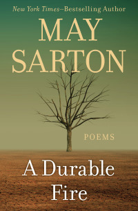 Cover image: A Durable Fire 9781480474352