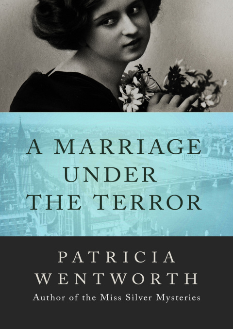Cover image for book A Marriage Under the Terror