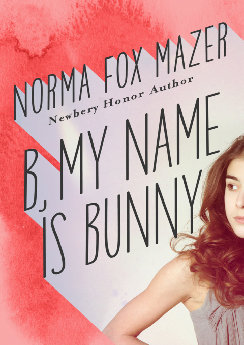 Cover image for book B, My Name Is Bunny