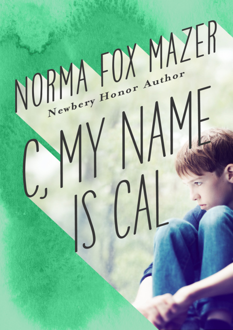 Cover image for book C, My Name Is Cal