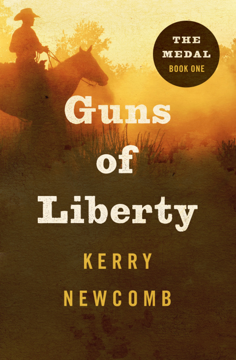 Cover image for book Guns of Liberty