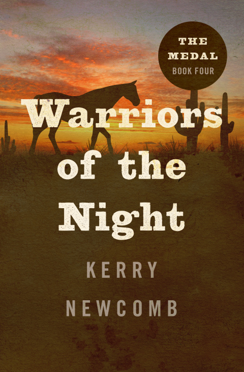 Cover image for book Warriors of the Night
