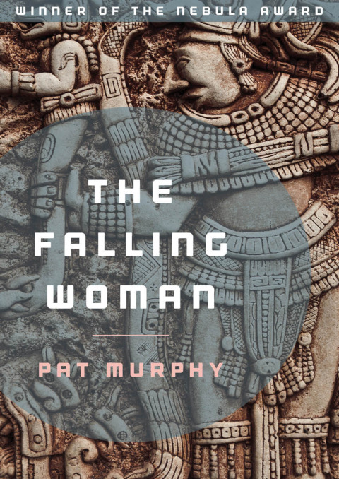 Cover image for book The Falling Woman