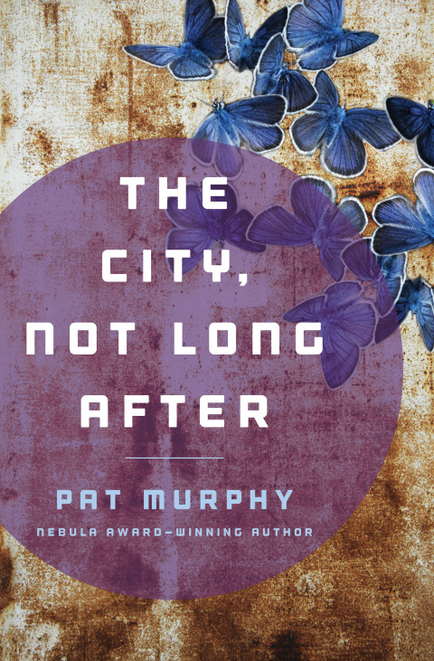Cover image for book The City, Not Long After
