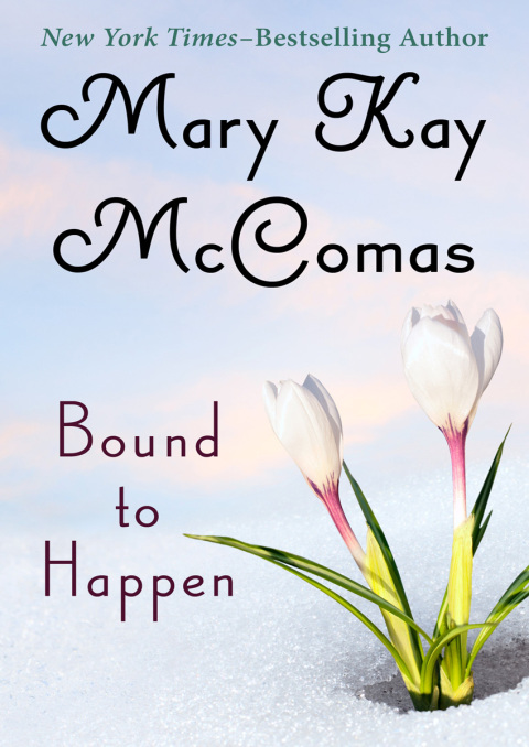 Cover image for book Bound to Happen