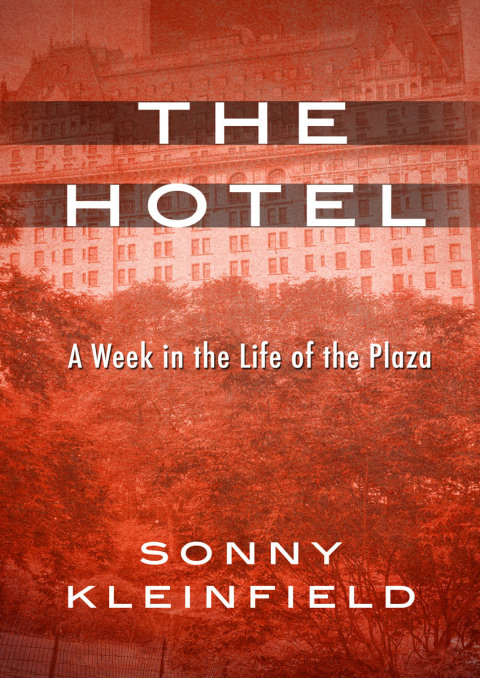 Cover image for book The Hotel