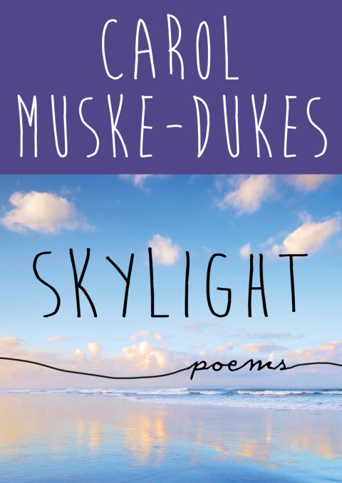 Cover image for book Skylight