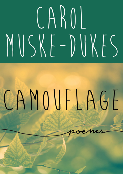 Cover image for book Camouflage