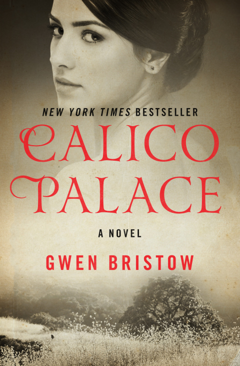 Cover image for book Calico Palace