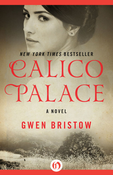 Cover image for book Calico Palace