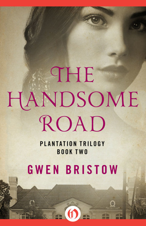 Cover image for book The Handsome Road