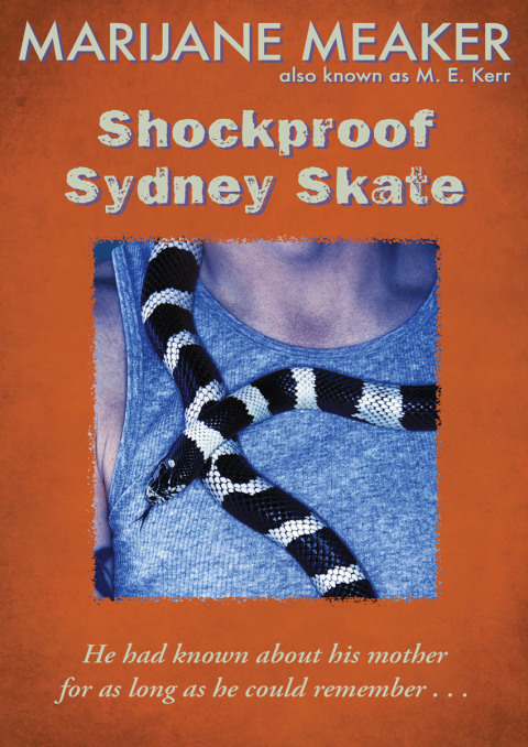 Cover image for book Shockproof Sydney Skate