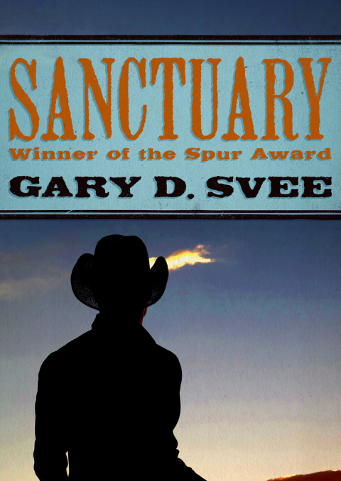 Cover image for book Sanctuary