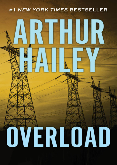 Cover image for book Overload