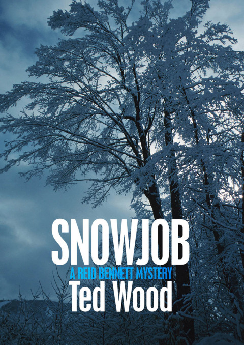 Cover image for book Snowjob