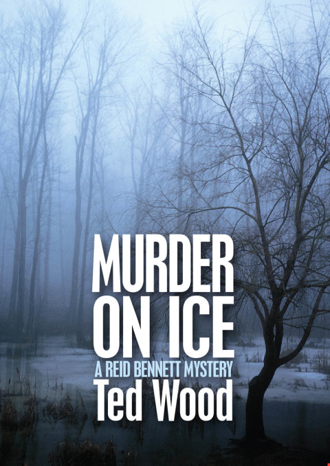 Cover image for book Murder on Ice