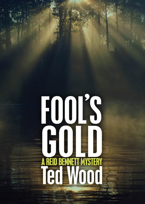 Cover image for book Fool's Gold