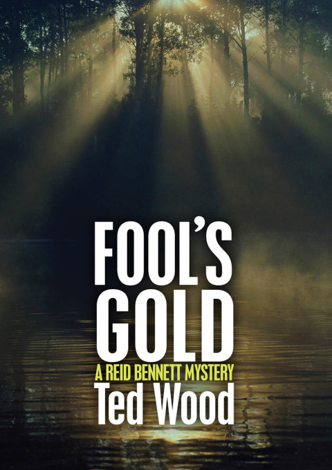 Cover image for book Fool's Gold