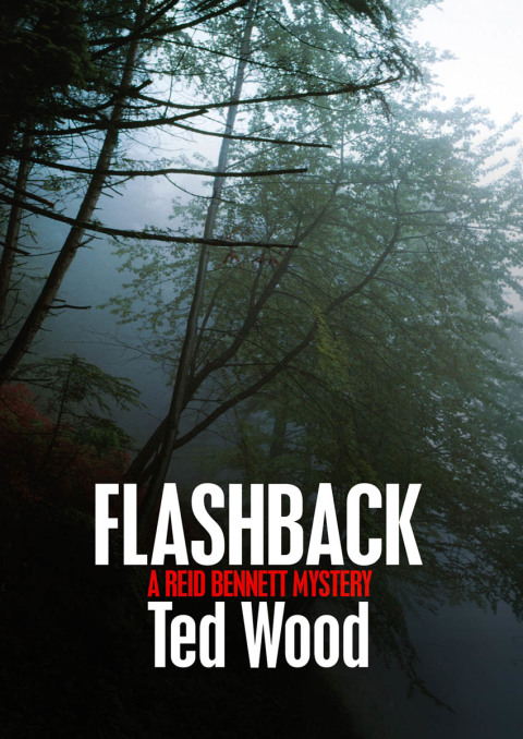 Cover image for book Flashback