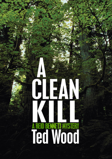 Cover image for book A Clean Kill