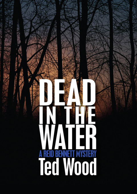 Cover image for book Dead in the Water