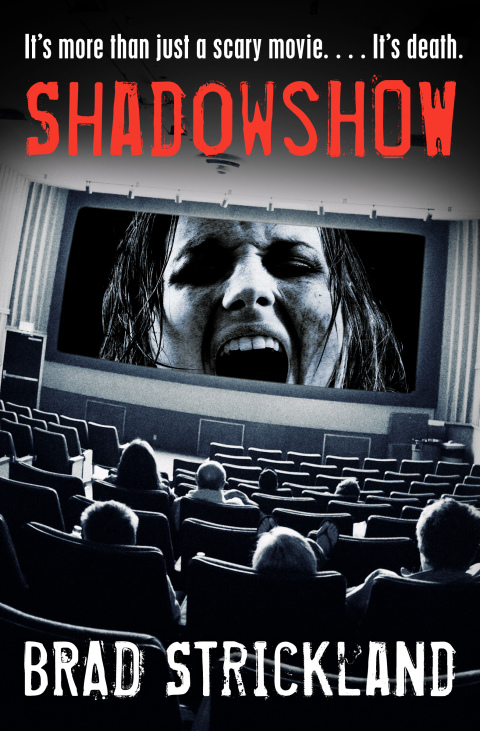 Cover image for book ShadowShow