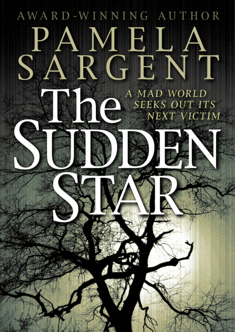 Cover image for book The Sudden Star