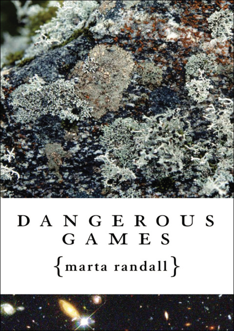 Cover image for book Dangerous Games