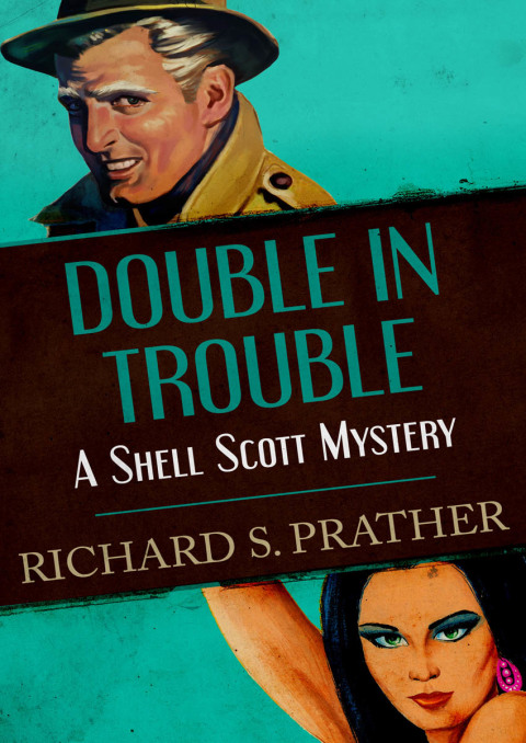 Cover image for book Double in Trouble