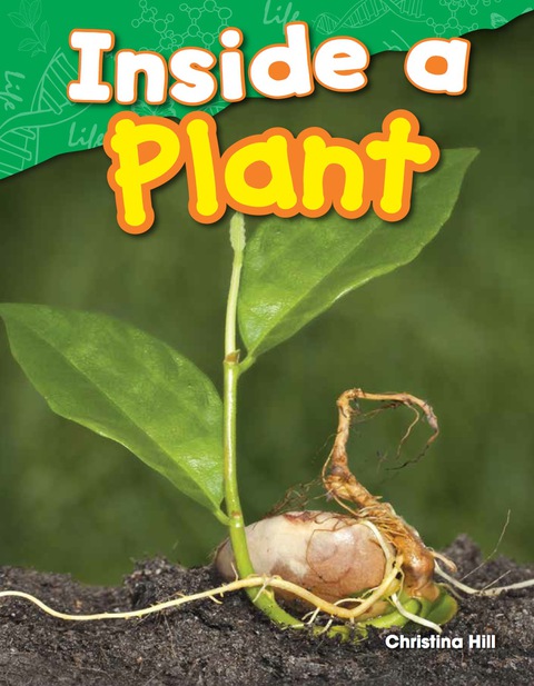 Cover image for book Inside a Plant