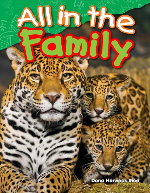 Cover image for book All in the Family