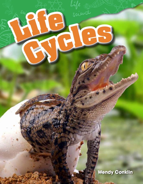 Cover image for book Life Cycles