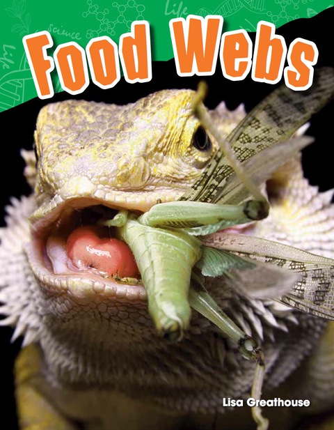 Cover image for book Food Webs