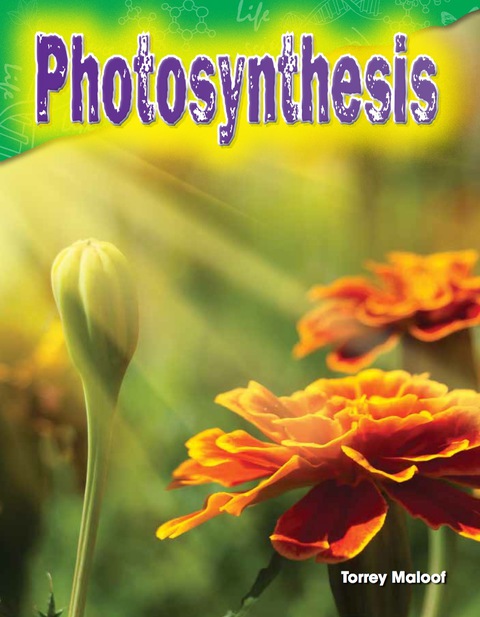 Cover image for book Photosynthesis