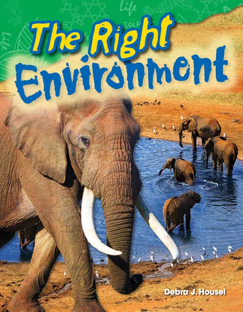 Cover image for book The Right Environment