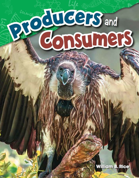 Cover image for book Producers and Consumers