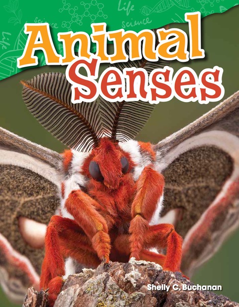 Cover image for book Animal Senses