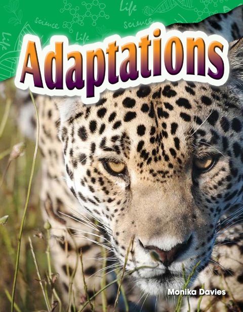 Cover image for book Adaptations