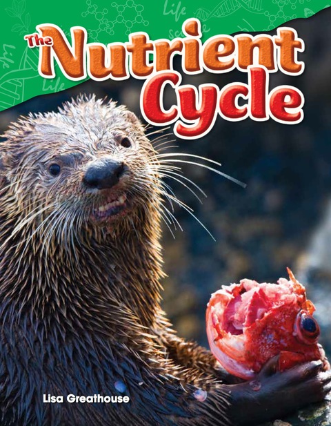 Cover image for book The Nutrient Cycle