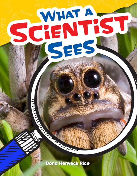 Cover image for book What a Scientist Sees