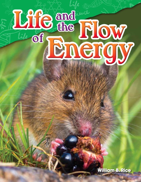 Cover image for book Life and the Flow of Energy