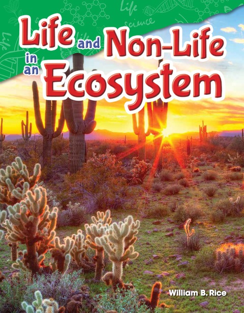 Cover image for book Life and Non-Life in an Ecosystem